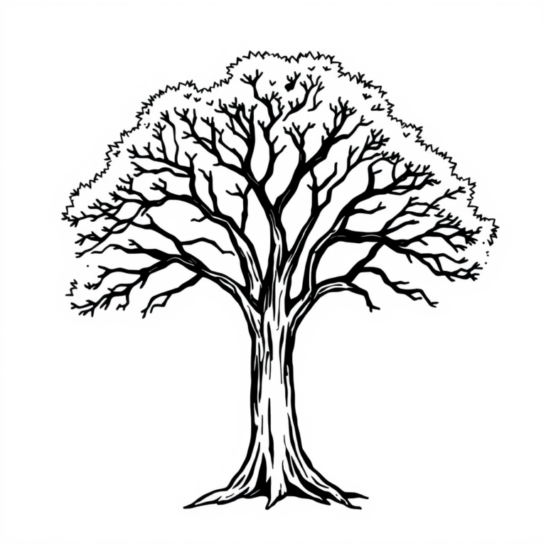 De mooiste bomen het land
