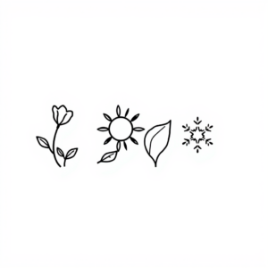 Seizoenswisseling: Lente, Zomer, Herfst, Winter
