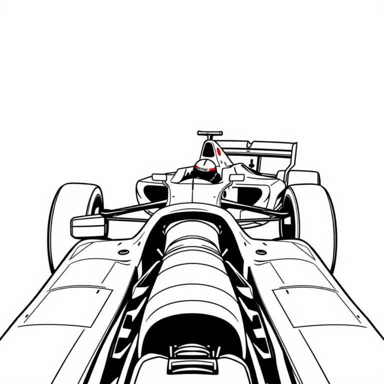 De winnaar de formule 1