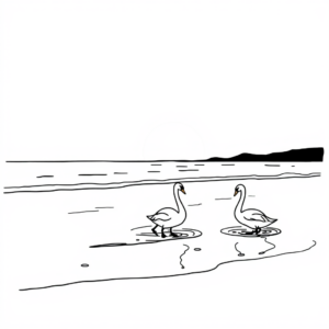 Zwarte Zwanen op het Zand