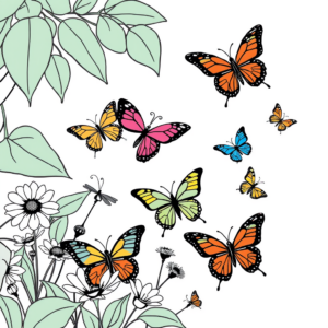 Vlinders in de Tuin