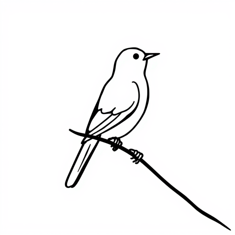 Vogels in pure vorm
